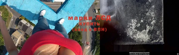 трава Абаза