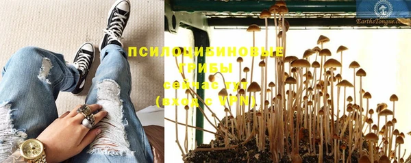 a pvp Рославль