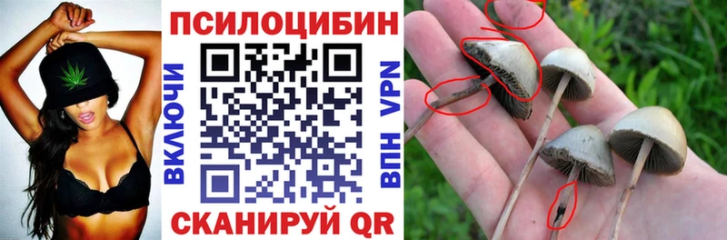 Псилоцибиновые грибы Psilocybe  закладки  Донецк 